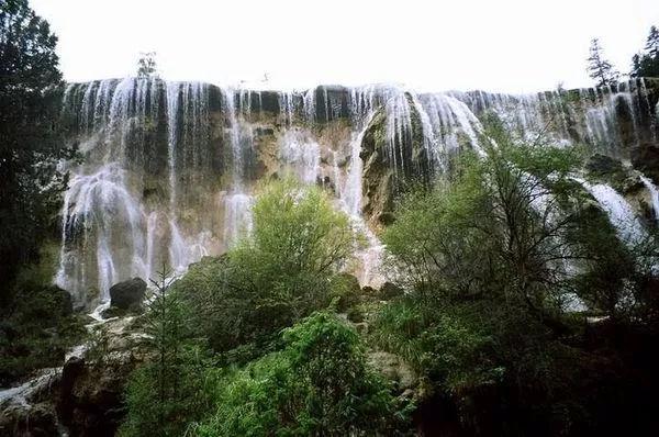 植物大战僵尸7